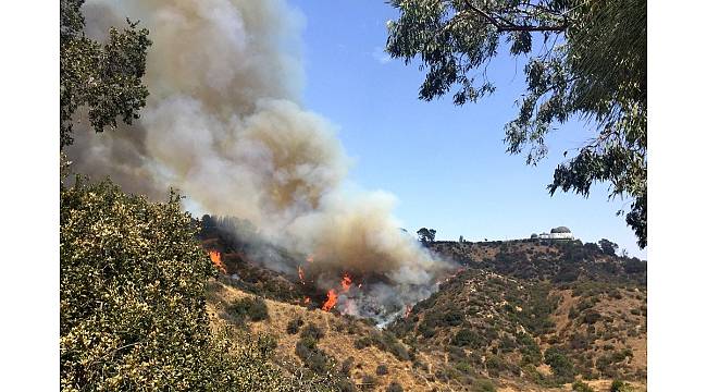 Griffith Park&#39;ta yangın çıktı