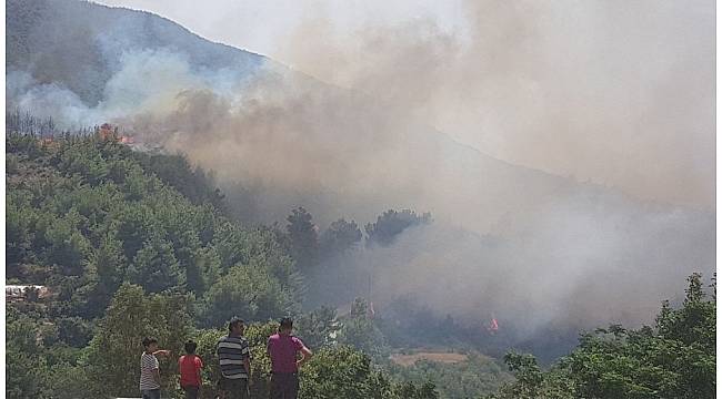 Hatay&#39;da orman yangını