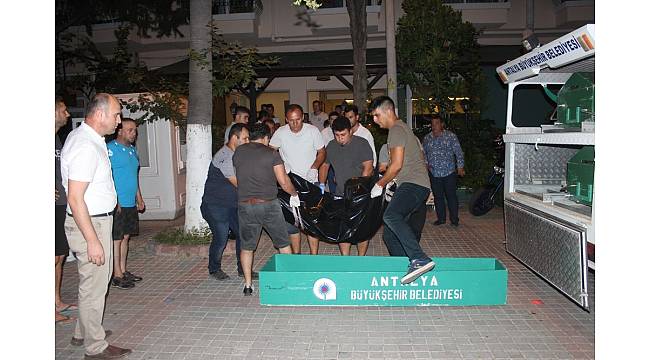 Turizmci otel odasında ölü bulundu