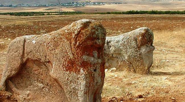 Ziyaretçilerin yol tepkisi