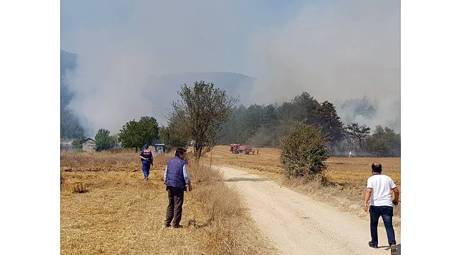 Bolu&#39;da orman yangını