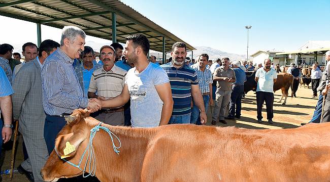 Büyükşehir, Hayvan Pazarı’nda önlemler aldı