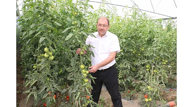 Erzincan&#39;da sera yatırımları devam ediyor