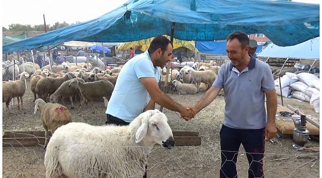 Kırıkkale&#39;de kurban pazarı hareketlendi