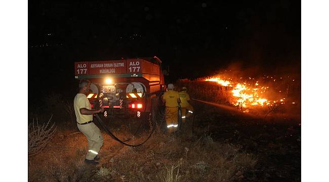 Adıyaman&#39;da korkutan orman yangını