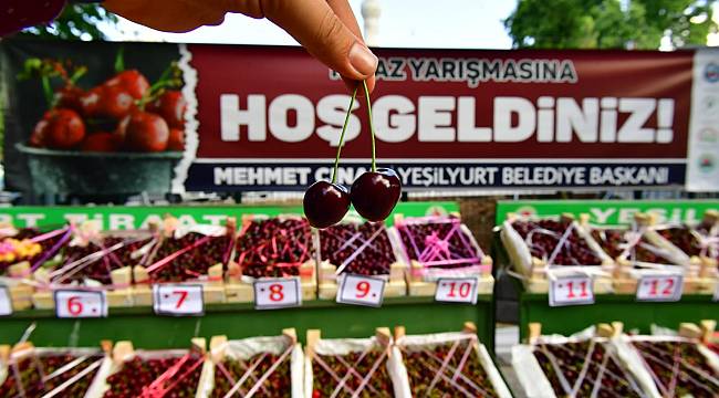 YEŞİLYURT BELEDİYESİ, GÜNDÜZBEY VE FATİH MAHALLELERİNE ‘KİRAZ VE VİŞNE BAHÇESİ’ KURUYOR