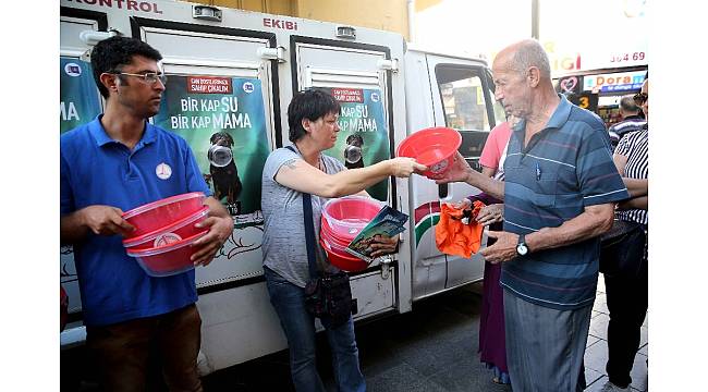 Sokak hayvanları için &#39;yaz&#39; seferberliği